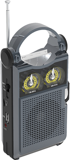 Радиоприемник Ritmix RPR-333 Carbon