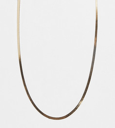 Золотистое ожерелье-цепочка «елочкой» размером 4 мм ASOS DESIGN Curve-Золотистый