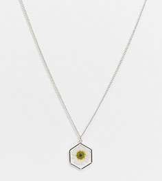 Золотистое ожерелье с подвеской в виде ромашки ASOS DESIGN Curve-Золотистый