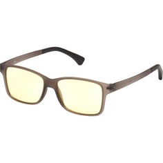 Очки для компьютера SP Glasses AF064, темно-серый