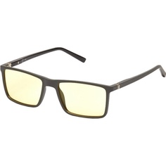 Очки для компьютера SP Glasses AF065, серый
