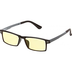 Очки для компьютера SP Glasses AF061, черно-серый
