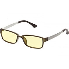 Очки для компьютера SP Glasses AF053, черно-серебро