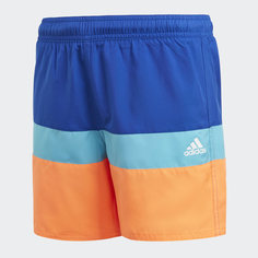 Шорты для плавания Colorblock adidas Performance