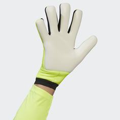 Вратарские перчатки X Training adidas Performance