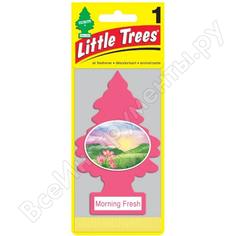 Ароматизатор в машину Car-Freshner