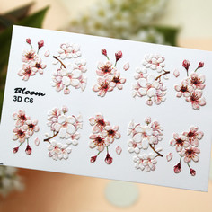 Bloom, 3D-слайдер C6