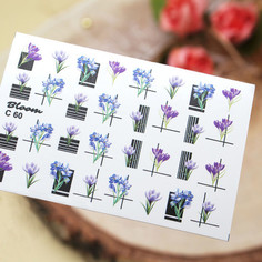 Bloom, Слайдер C60