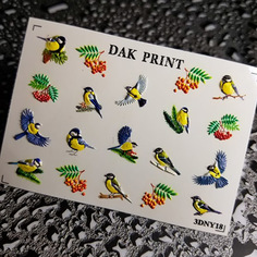 Dak Print, 3D-слайдер №18NY