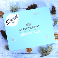 Secret Box, Декабрь 2020