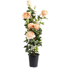 Искусственное растение Tianjin оранжевая роза в кашпо 102 см