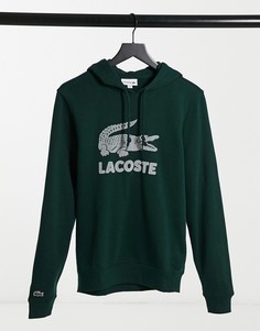 Темно-зеленый свитшот из флоковой ткани с большим фирменным крокодилом Lacoste