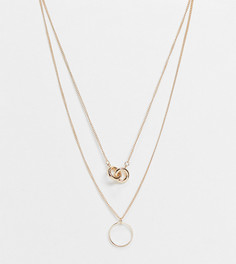 Золотистое ярусное ожерелье с подвесками в виде узла и пустого круга ASOS DESIGN Curve-Золотистый