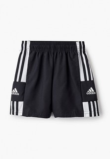 Шорты спортивные adidas SQ21 DT SHO Y