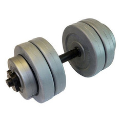 Гантель Euro classic Гв10 1гант. 10кг пласт. серый/черный (1136198424)