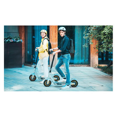 Электросамокат NINEBOT KickScooter Max G30LP, 10200mAh, серый