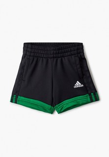 Шорты спортивные adidas 