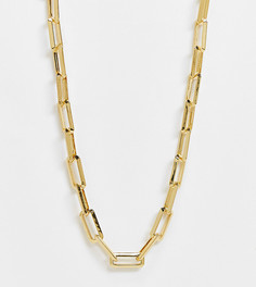 Ожерелье с прямоугольными звеньями и покрытием из 14-каратного золота ASOS DESIGN Curve-Золотистый