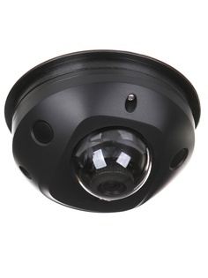 IP камера HikVision DS-2CD2543G0-IS 2.8mm Black