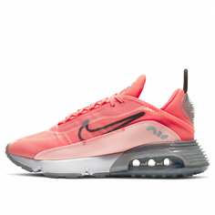 Женские кроссовки Air Max 2090 Nike