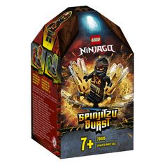Конструктор LEGO Ninjago Шквал Кружитцу - Коул, 70685