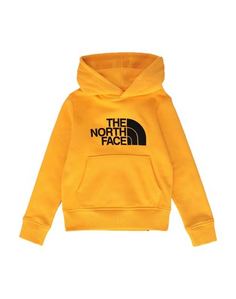 Толстовка The North Face