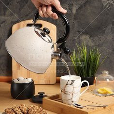 Чайник из нержавеющей стали Daniks M-009W со свистком, 3 л