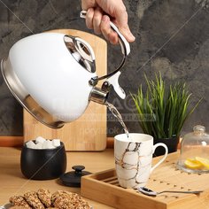 Чайник из нержавеющей стали Daniks MSY-A060W со свистком, 3 л