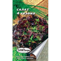 Семена Салат 4 сезона, 1 г, в цветной упаковке ЭлитАгро