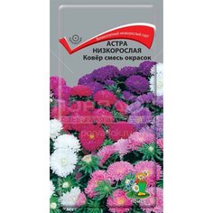 Семена Астра низкорослая Ковёр смесь окрасок, 0.2 г, в цветной упаковке Поиск