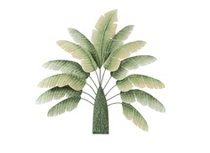 Панно настенное листья банана (glasar) зеленый 5.0x81.3x82.0 см. ГЛАСАР