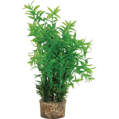 Растение для аквариумов Zolux в грунте пластиковое 7x5x20 см M3 353757