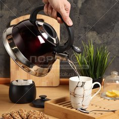 Чайник из нержавеющей стали Daniks M-012 со свистком, 3 л