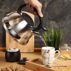 Чайник из нержавеющей стали Daniks MSY-013 со свистком, 3 л