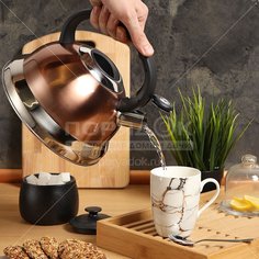 Чайник из нержавеющей стали Daniks M-013 со свистком, 3 л