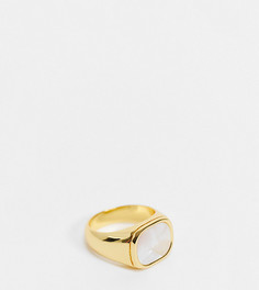 Позолоченное кольцо-печатка с камнем-абалоном Image Gang-Золотистый