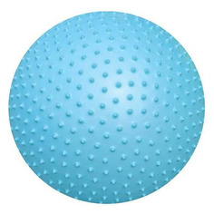 Мяч массажный Atemi AGB0265 ф.:круглый d=65см голубой (00000089562)