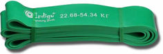 Эспандер INDIGO 601 HKRBB Кроссфит 22-54 кг, зеленый