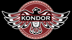 Domix, Косметичка тканевая 23х14х9 см Кондор