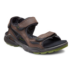 Сандалии BIOM TERRAIN SANDAL Ecco