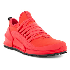 Кроссовки BIOM 2.0 W Ecco