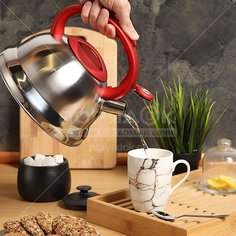 Чайник из нержавеющей стали Daniks MSY-013R со свистком, 3 л