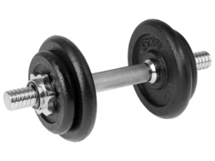 Гантель Onlitop 10kg 578749