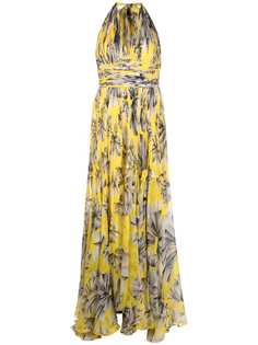 Maria Lucia Hohan платье с принтом