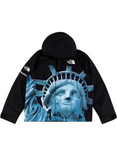 Supreme куртка из коллаборации с The North Face