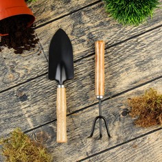 Набор садового инструмента, 2 предмета: рыхлитель, совок, длина 20 см, деревянные ручки Greengo