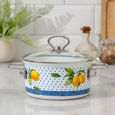 Кастрюля доляна