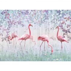 Фотообои Фламинго в саду бумажные, 368x254см, WM-117 Postermarket