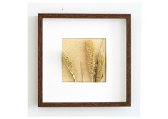 Панно с золотой пшеницей (wowbotanica) мультиколор 25x25 см.