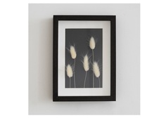 Панно с лагурусом в чёрной раме (wowbotanica) черный 32x42 см.
